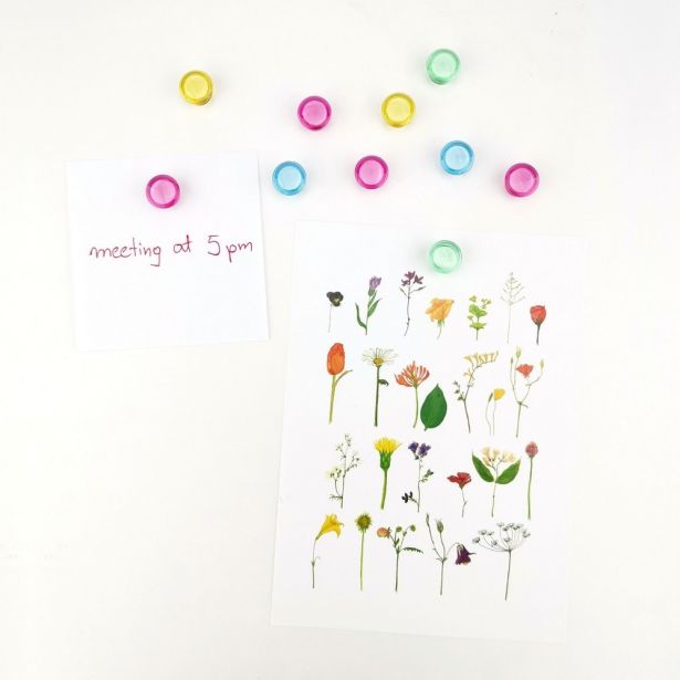 DODATEK ZA MAGNETNO TABLO LEVIA MAGNETKI 15 MM 1/10 MIX 009172