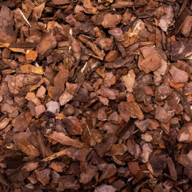 DODATEK ZA ZEMLJO ELISTE ZASTIRKA OKRASNO BOROVO LUBJE 20-40 MM 50L