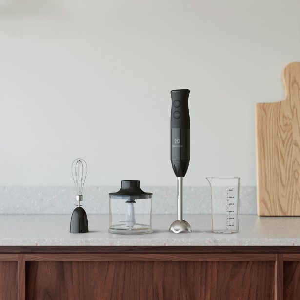 PALIČNI MEŠALNIK ELECTROLUX E4HB1-6GG