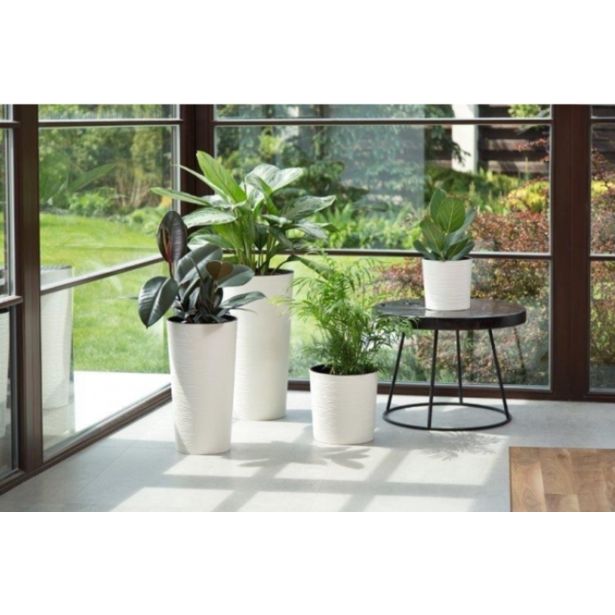 PE NOTRANJI LONEC ECO MALWA FI25 CM BEL