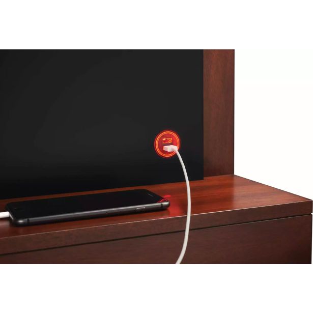 ELEKTRIČNI KAMIN NAPOLEON STEINFELD