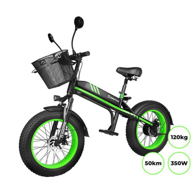 ELEKTRIČNI SKIRO MANTA MES2002N ČRNO ZELEN FLINSTONE FAT 350W