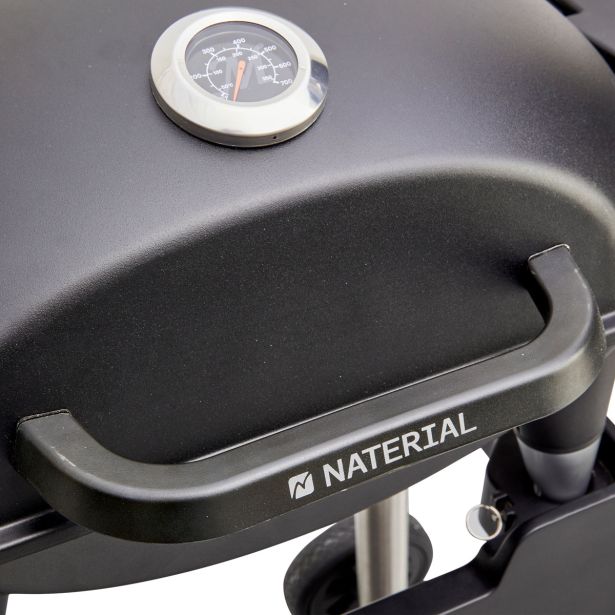 ELEKTRIČNI ŽAR NATERIAL NATERIAL HYPERION 2200W