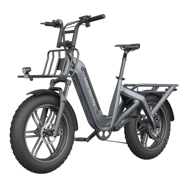 ELEKTRIČNO KOLO A DECE OASIS OASIS ONE, TOVORNO E-KOLO FATBIKE, SIV