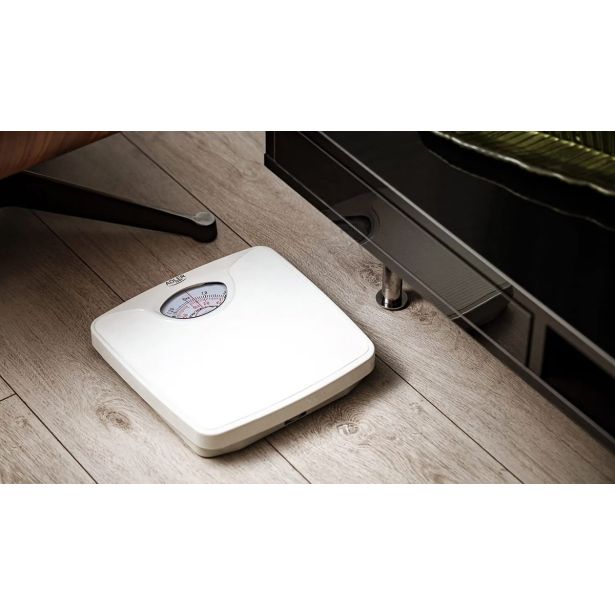 OSEBNA TEHTNICA ADLER AD8151 W