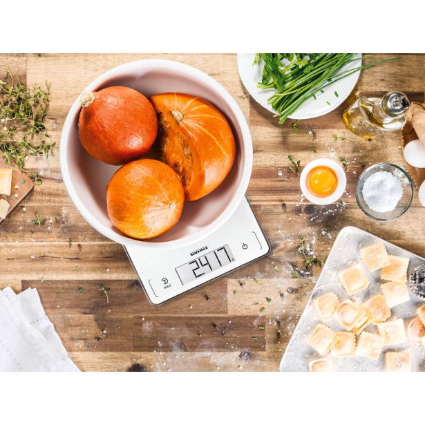 ELEKTRONSKA TEHTNICA SOEHNLE PAGE PROFI 300 20KG