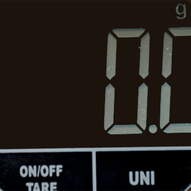 ELEKTRONSKA TEHTNICA TOGNANA D2DBL51IRCHA DO 5 KG IRIDEA CHAMPAGNE