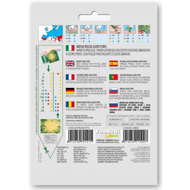 LISTNA ZELENJAVA FRANCHI SEMENTI ENDIVIJA CUOR D'ORO.