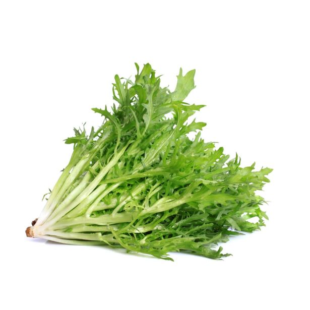 LISTNA ZELENJAVA L'ORTO FRUTTIFERO ENDIVIJA ROMANESCA 8/1 TAGLIO RICCIA KULTIPAK
