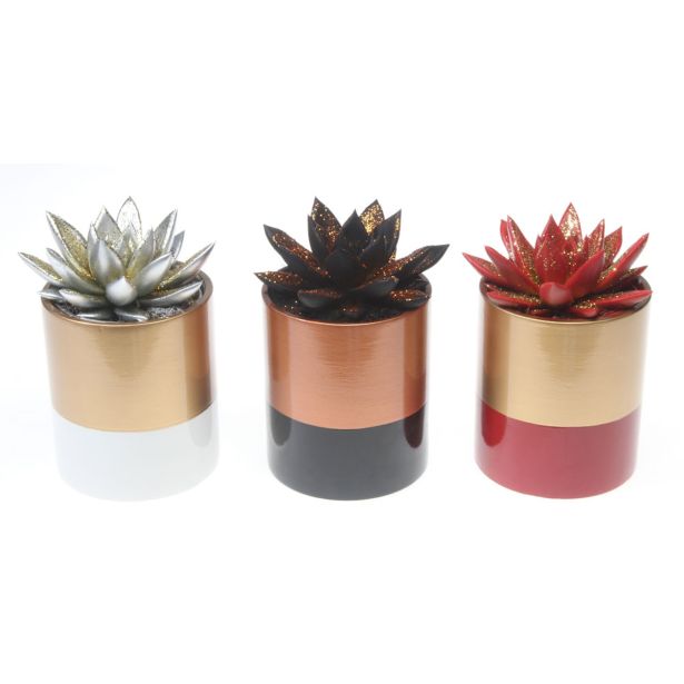 EŠEVERIJA MIX OKR. LONEC L8.5