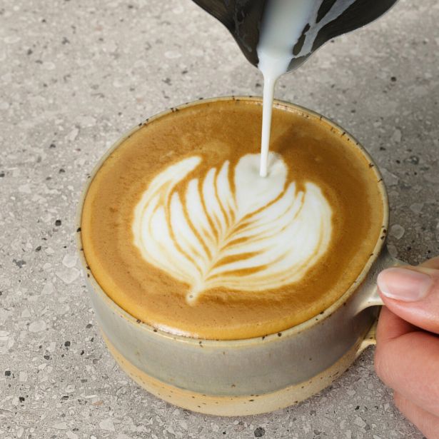 ESPRESSOKAVI APARAT E6EC1-6ST