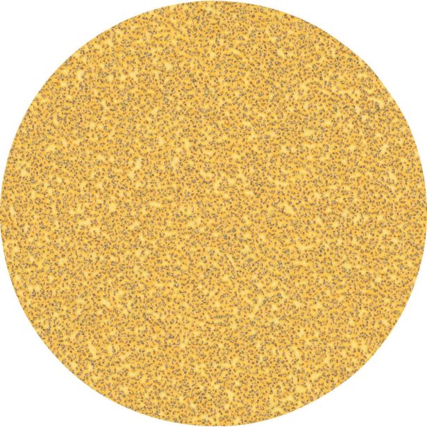 EXPERT C470 BRUSNI PAPIR BREZ LUKENJ ZA KOTNE BRUSILNIKE IN SVEDRE, 125 MM, G 40, 50 KOSOV