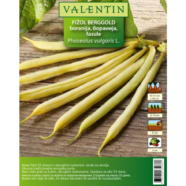 STROČNICA VALENTIN FIŽOL BERGGOLD 80 G