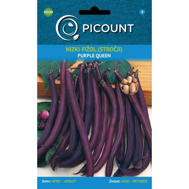 STROČNICA PICOUNT FIŽOL NIZEK PURPLE QUEEN