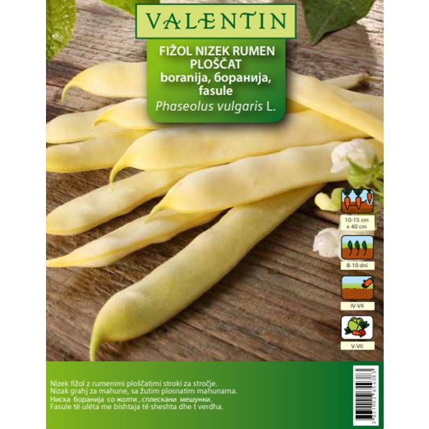 STROČNICA VALENTIN FIŽOL NIZEK RUMEN ANELINO NANO GIALO 80 G