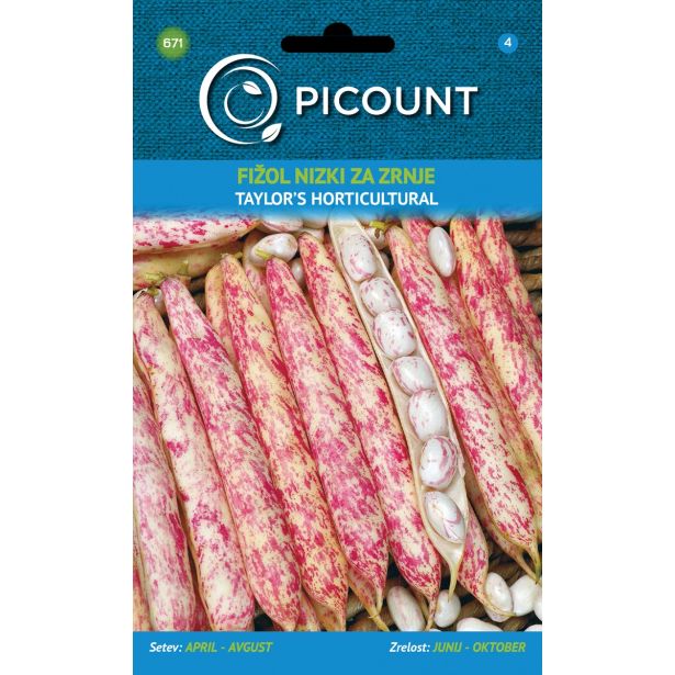 STROČNICA VILMORIN FIŽOL NIZKI ZA ZRNJE TAYLOR'S