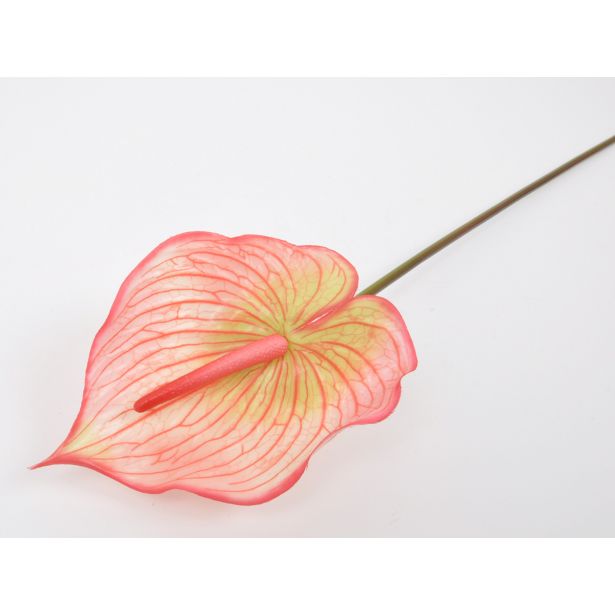 UMETNO CVETJE FLAMINGOVEC KREM/ROZA