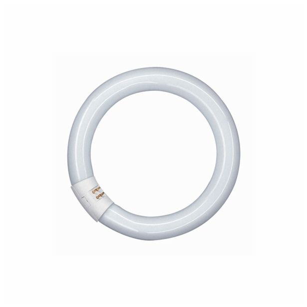 FLUO OKROGLA SIJALKA OSRAM L 40W/840 C G10Q FI 29MM