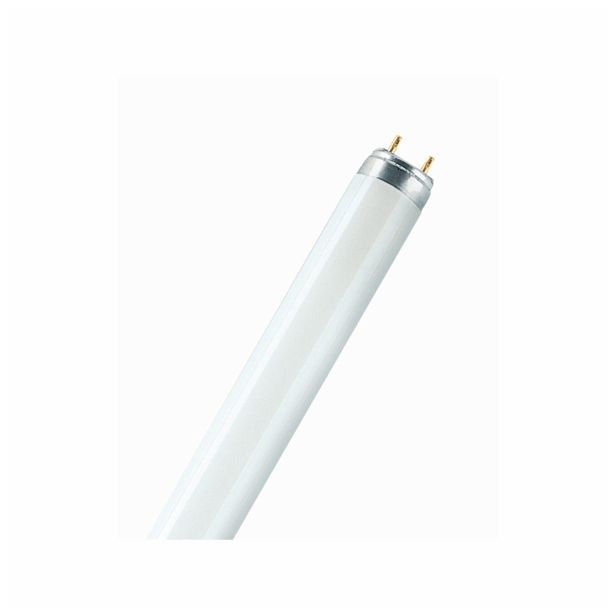 FLUO SIJALKA OSRAM L 36W/77 SB FLUORA 36W