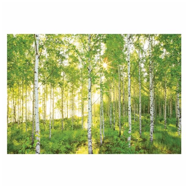 FOTOTAPETA 8-DELNA  SUNDAY 368X254 CM KOMAR