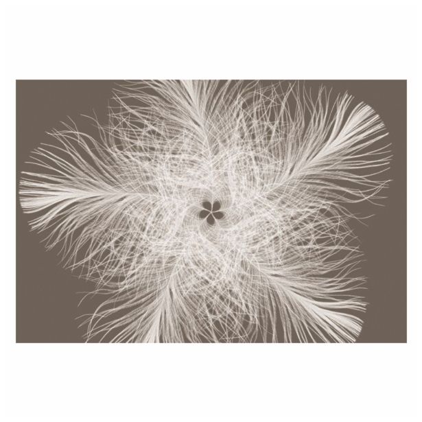 FOTOTAPETA -FEDERSTERN 368 X 248 CM KOMAR