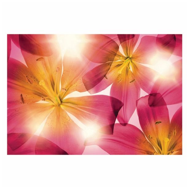 FOTOTAPETA 8-DELNA 368 X 254 CM KOMAR