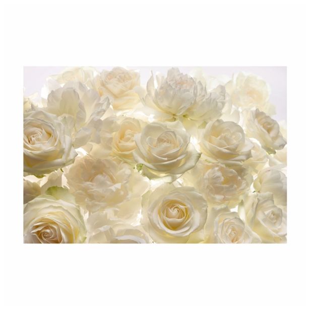 FOTOTAPETA-SHALIMAR 368 X 248 CM KOMAR