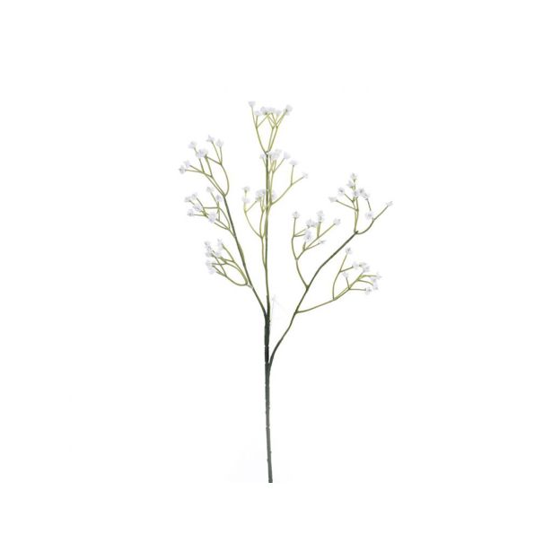 GIPSOFILA VEJICA 54CM