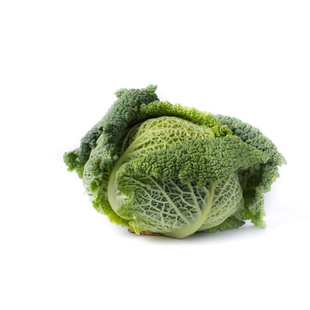 KAPUSNICE L'ORTO FRUTTIFERO GLAVNATO OHROVT 4/1 CONVOY F1 KULTIPAK