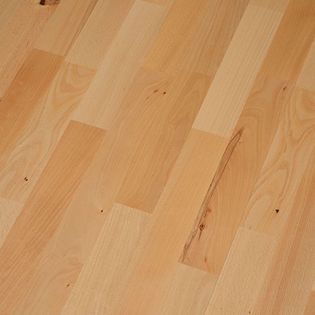 GOTOVI PARKET ARTISAN BUKEV MUNCHEN NATURAL PROF LAK TGP 3L 5GC