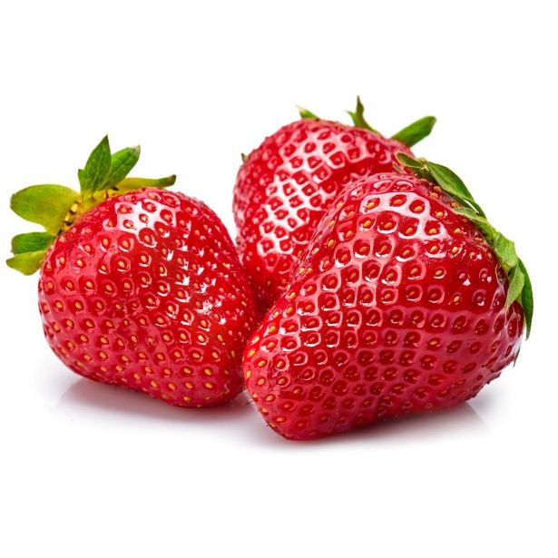 JAGODIČEVJE L'ORTO FRUTTIFERO GOZDNA JAGODA BELA 1/1 SEMI GIALLI L10