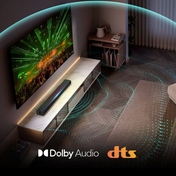 HIŠNI KINO HISENSE HS1000