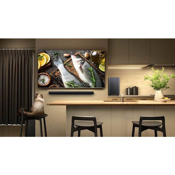 HIŠNI KINO TCL S55HE