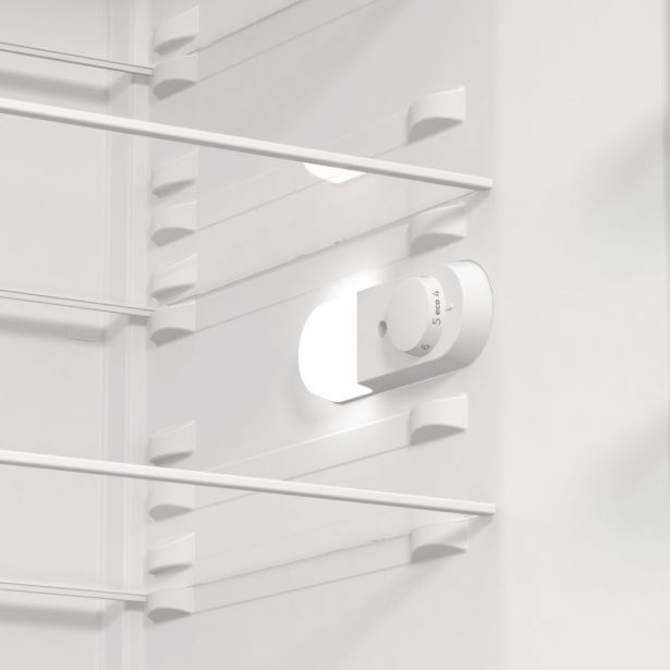 HLADILNIK GORENJE R619EES5