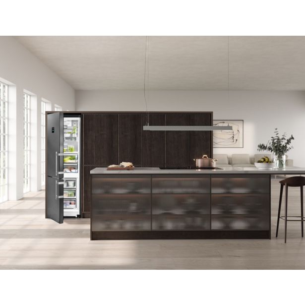 HLADILNIK IN ZAMRZOVALNIK LIEBHERR CBNBSD 576I