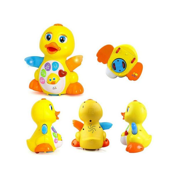 HOLA PLESOČA RAČKA 808