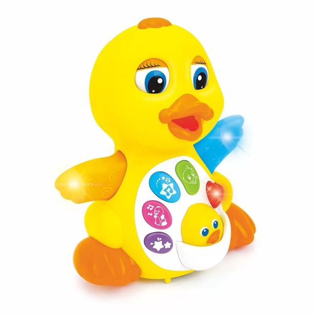 HOLA PLESOČA RAČKA 808