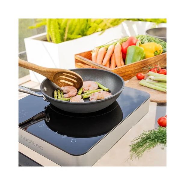 INDUKCIJSKA KUHALNA PLOŠČA CECOTEC FULL MAGMA SINGLE