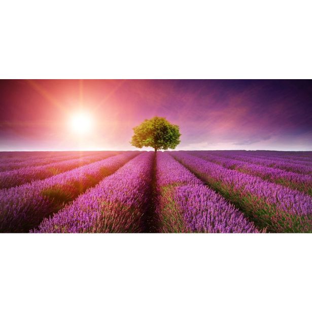 IR GRELNI PANEL 600 W, FOTOMOTIV - LAVANDA, 1005 X 605 X 20 MM
