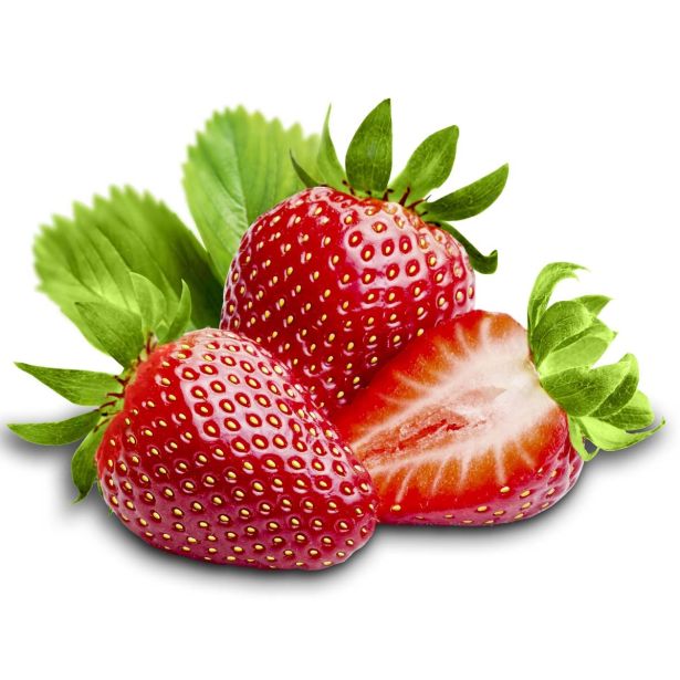 JAGODA L'ORTO FRUTTIFERO VEČRODNA L10 SUPERGUSTO RIFIORENTE