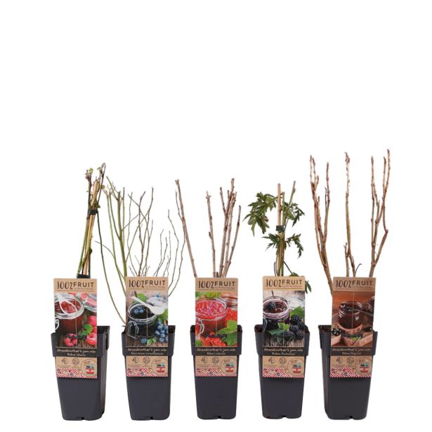 JAGODIČEVJE MIX ZA MARMELADE L2 L