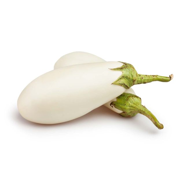 PLODOVKE L'ORTO FRUTTIFERO CEPLJEN JAJČEVEC 1/1 CALRA L14