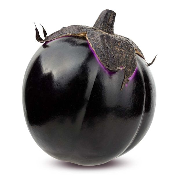 PLODOVKE CEPLJEN JAJČEVEC 1/1 MACARENA F1 L14