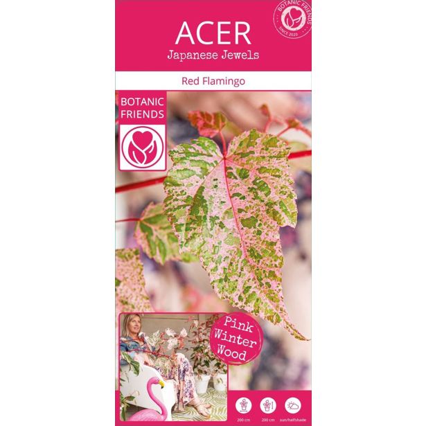 JAVOR RED FLAMINGO L19 CM