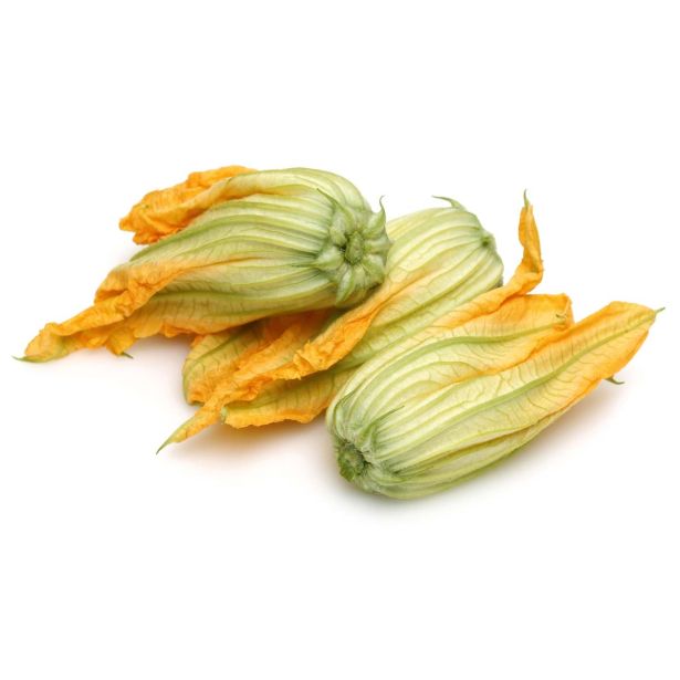 PLODOVKE L'ORTO FRUTTIFERO PLEZAJOČA BUČKA 1/1 DA FIORE L10