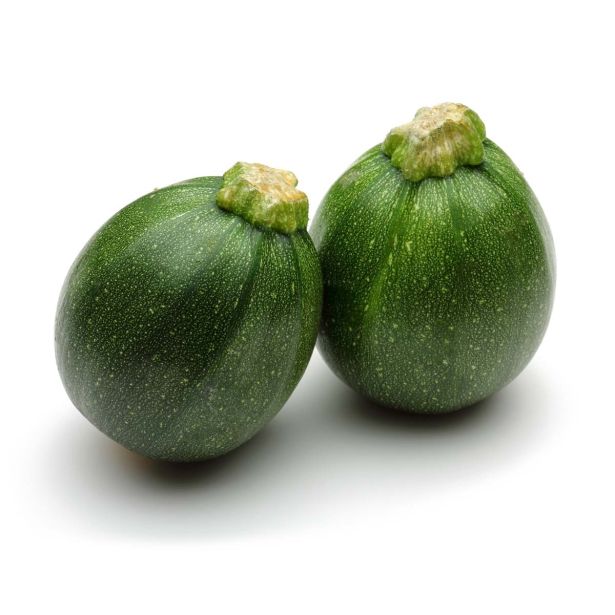 PLODOVKE L'ORTO FRUTTIFERO PLEZAJOČA BUČKA TEMNA 1/1 ROUND BALL F1 L10