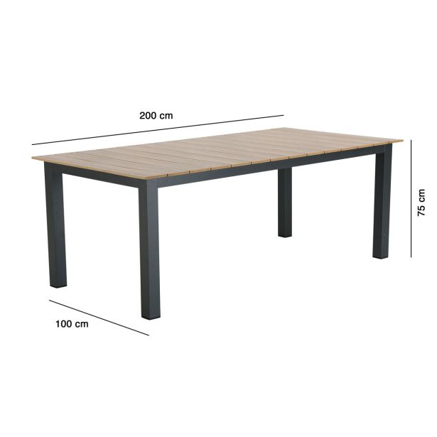 KOVINSKA MIZA NATERIAL CLARA SIVA 200X100 ALU, SINT. LES