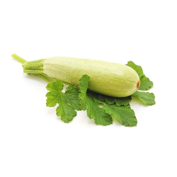 PLODOVKE L'ORTO FRUTTIFERO PLEZAJOČA BUČKA 1/1 POTTER IPANEMA L10