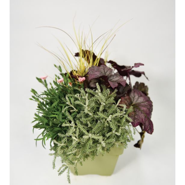 SEZONSKA RASTLINA JESENSKI NASAD HAPPY WINTER L17