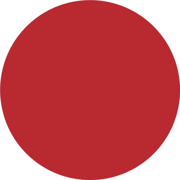 POKRIV.PREM.ZA KOV.,LES JUB JUBIN DECOR UNIVERSAL RDEČI 4 0.65 L